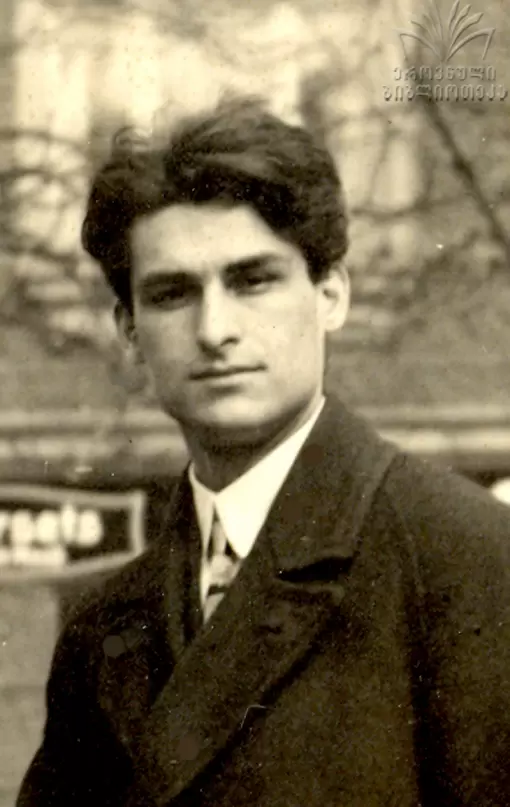 მიხეილ's photo